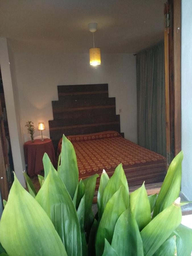 アルダレス El Patio Andalu Bed & Breakfast エクステリア 写真