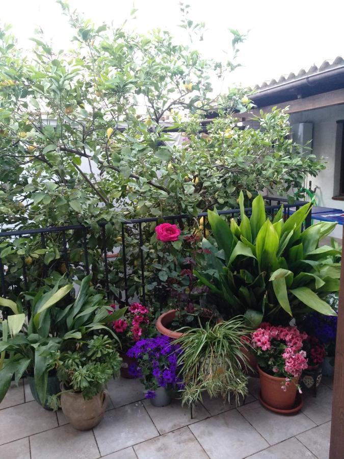 アルダレス El Patio Andalu Bed & Breakfast エクステリア 写真