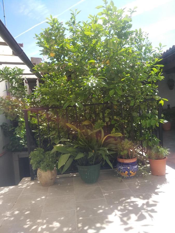 アルダレス El Patio Andalu Bed & Breakfast エクステリア 写真