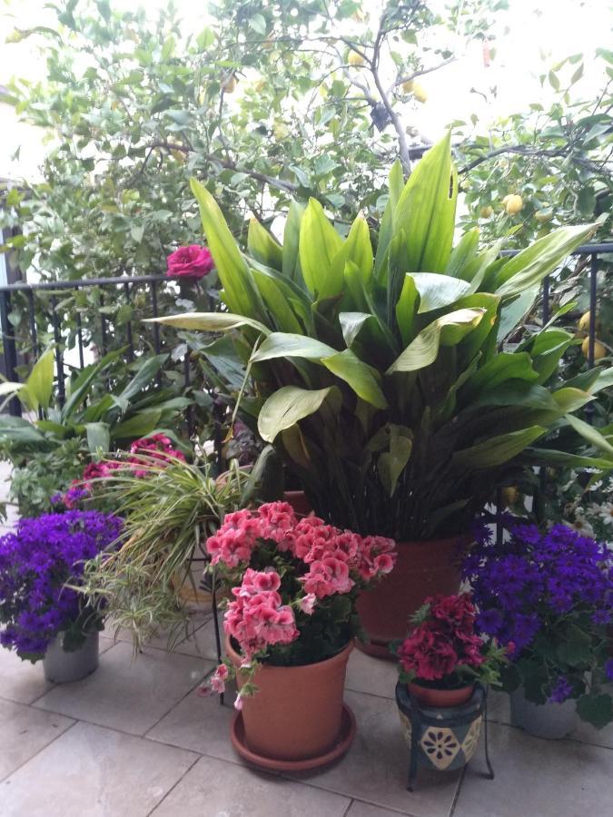 アルダレス El Patio Andalu Bed & Breakfast エクステリア 写真
